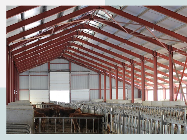 Строительство коровников в Михайловке